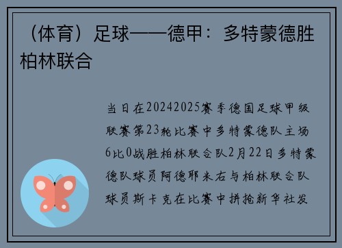 （体育）足球——德甲：多特蒙德胜柏林联合